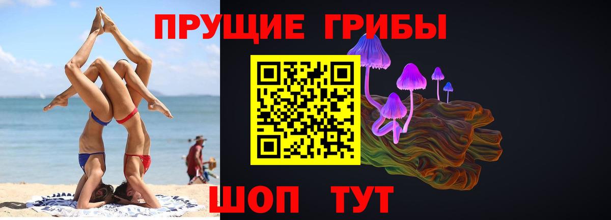 Лосино-Петровский  Псилоцибиновые грибы MAGIC MUSHROOMS  Вход с VPN 
